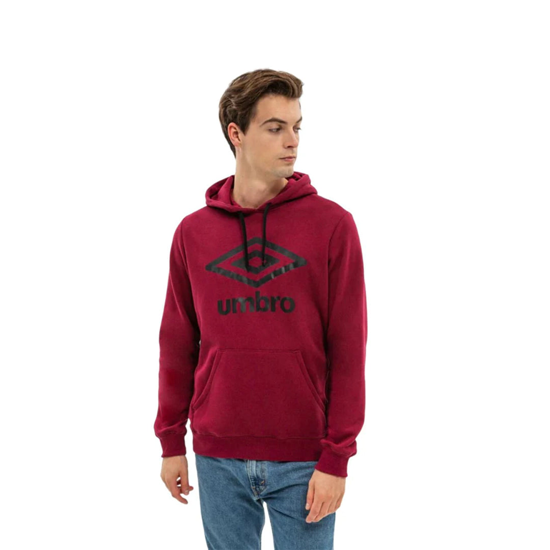 FW LARGE LOGO HOODIE 65835U-75D-MEN