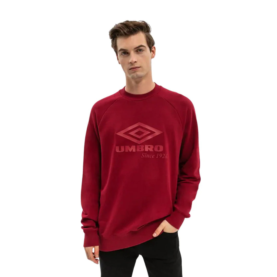 LARGE LOGO SWEAT 66116U-LBE-MEN