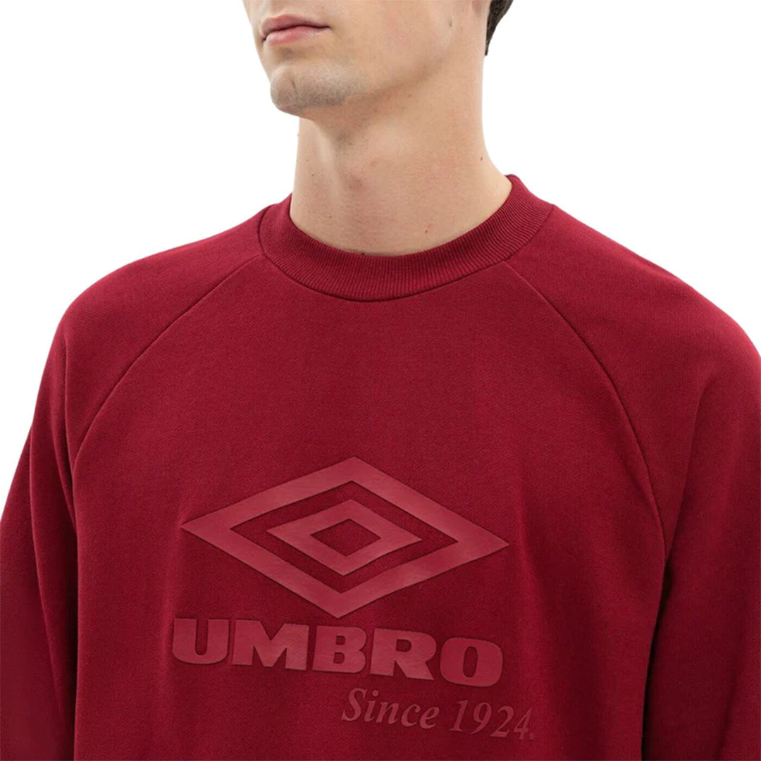 LARGE LOGO SWEAT 66116U-LBE-MEN